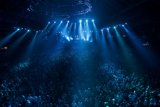 Nightlife at Coachella