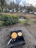 Sunshine Feast on Wheels