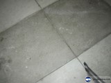 The Lone Knife