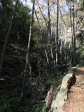 Traversing the Trail