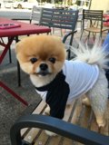 Outdoor Dining LA