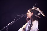Feathered Songstress