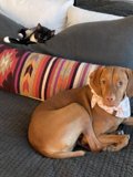Favorite Spot in the House