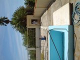 A Refreshing Dip in the Blue Summer Oasis