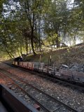 The Mighty Train in the Woods