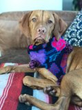 Colorful Scarf on the Couch