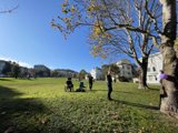Trees and Balloons in Duboce Park