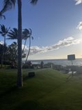 Tropical Paradise