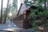 Cozy Cabin Escapade