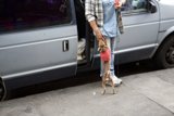 The Accessory Enthusiast and her Canine Companion