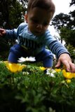 Blooming Adventures in the Botanical Garden