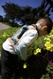Innocent Curiosity: A Boy and A Daisy