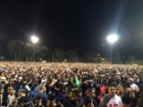 Night Sky Concert Crowd
