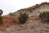 Solitude on the Rocky Hill