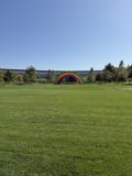 Vibrance in the Meadow
