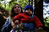 Motherhood in Nature