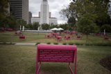 Pretty Pink Bench in the Park