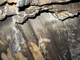 Graffiti in the Cave