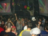 Nightlife Chaos