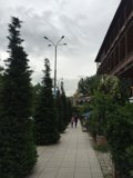 Cypress-Lined Walkway in Tbilisi