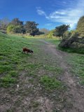 Running free