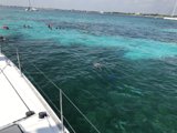 Fun in the Sun