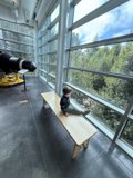 Daydreaming at the Space Center