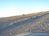 Off-Roading Adventure
