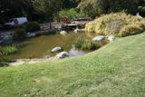 Serenity at the Pond