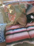 Furry Friends Relaxing
