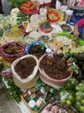 A Feast for the Senses