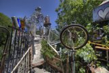 Lone Bicycle in a Garden