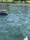 Day on the Water