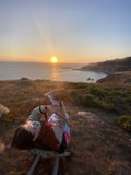 Sunset Relaxation with My Furry Best Friend