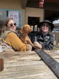 Wooden Table Companions