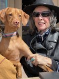 Sunny Santa Fe Stroll With My Pup