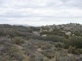 Rolling Hills of Wilderness