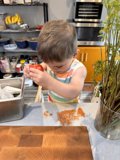 Curious Little Chef in the Kitchen