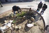 Guerilla Gardening on the Street