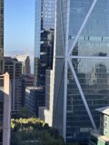 City Serenity: San Francisco Skyline from the Heights