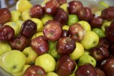A Bowl of Fresh, Crisp Apples