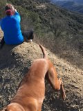 Trailhead Return