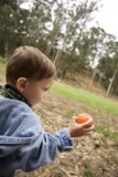 Wesley's Joyful Playtime at Pine Lake Park