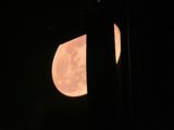 Moonlight Drapes