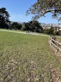 Serene Park Landscape with Blue Sky and Lush Greens