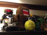 Sports and Stuffed Animals