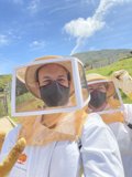 Beekeeping in Carmel