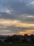 Sunset Pooch at Alamo Square