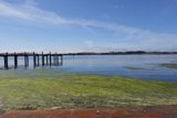 Serene Views at Bodega Bay