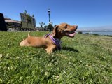 Relaxing in the Park